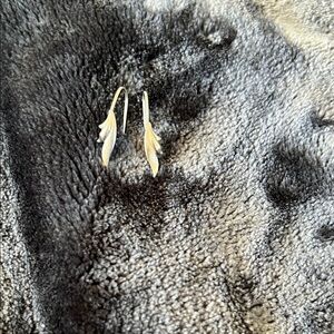 Silver Leaf Earrings